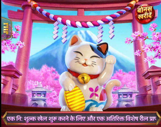 Neko Fortune: An Easy-to-Master Slot Game for Aspiring Poker Pros