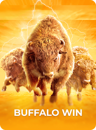 Buffalo Win缩略图