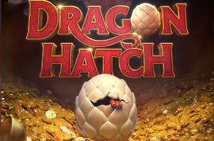 Dragon Hatch插图